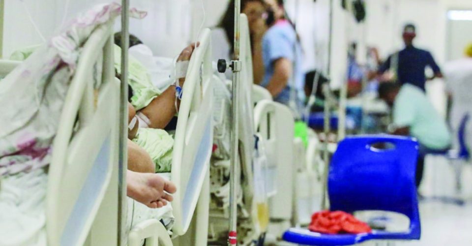 Boletim da Sesa confirma seis mortes relacionadas a dengue no Norte Pioneiro