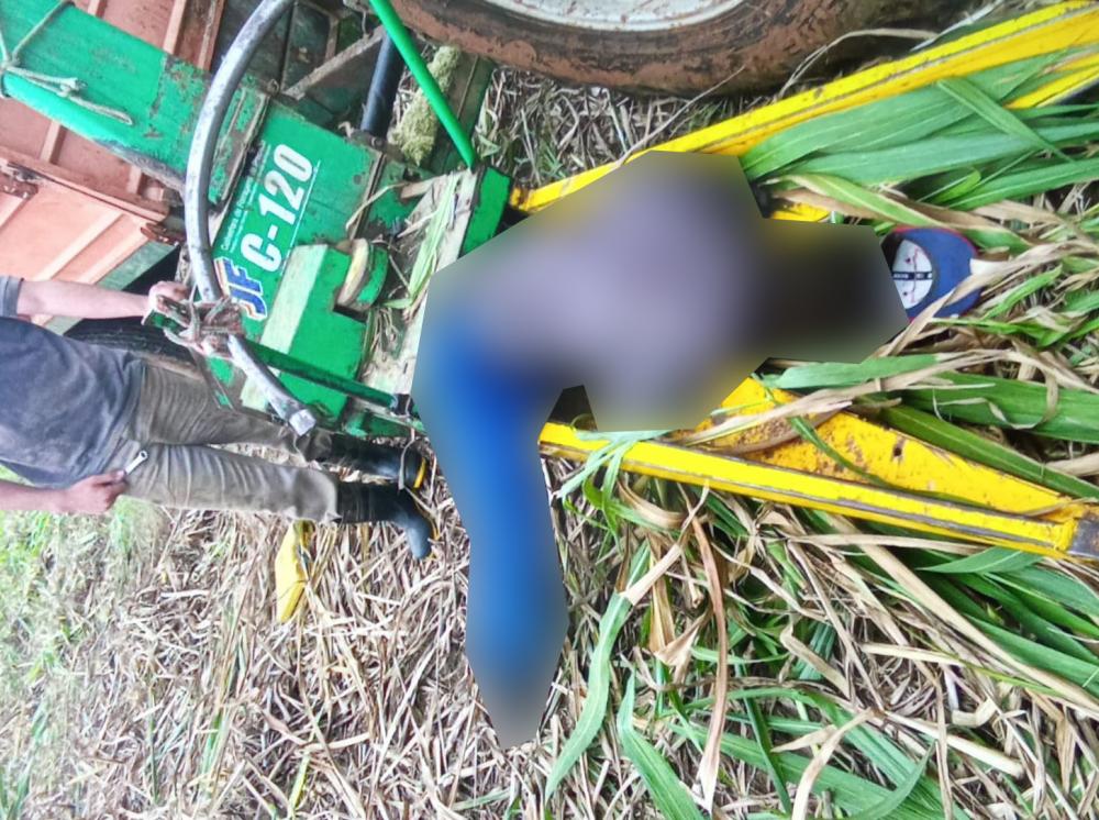 Trabalhador tem perna sugada por ensiladeira e morre em Salto do Itararé