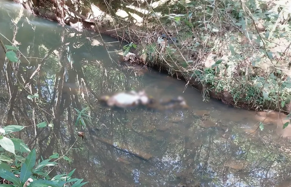 Jovem é encontrado morto com as mãos amarradas em Siqueira Campos