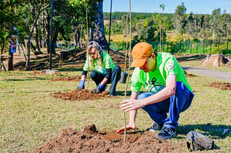 Jaguariaíva celebra Semana do Meio Ambiente com ações de conscientização e incentivo