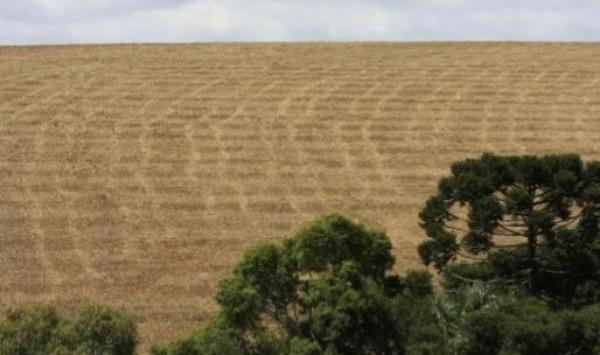 Em tarde mais quente, umidade relativa do ar atinge níveis baixos no Paraná