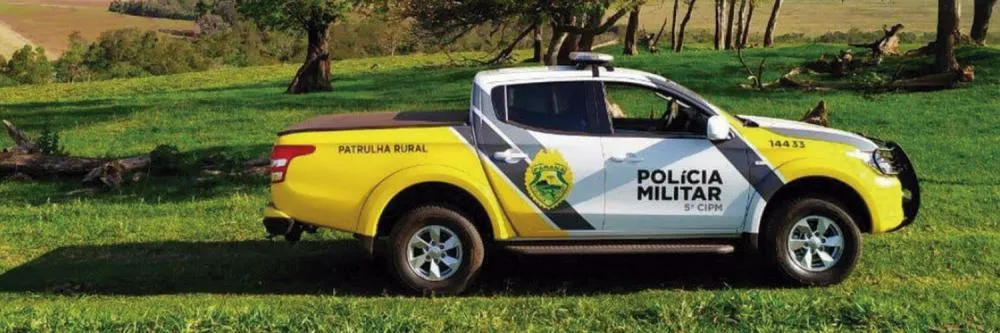 Agricultor flagra “ladrões de milho” e chama a polícia