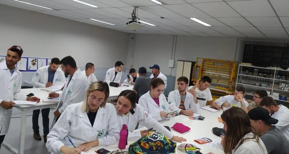 Tendências nas graduações de 2024, quais as áreas preferidas dos estudantes?