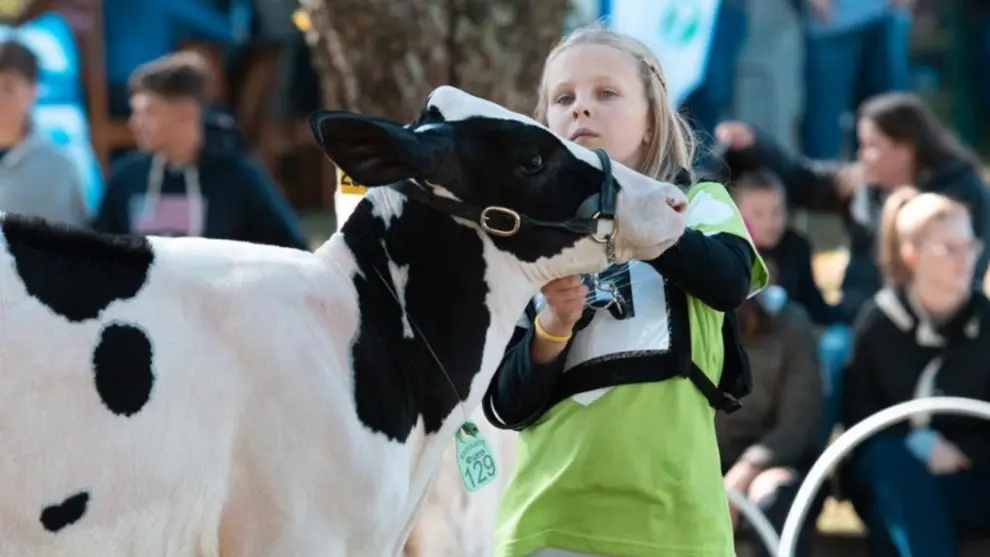 Confira a programação da 50ª Expoleite que acontece esta semana em Arapoti
