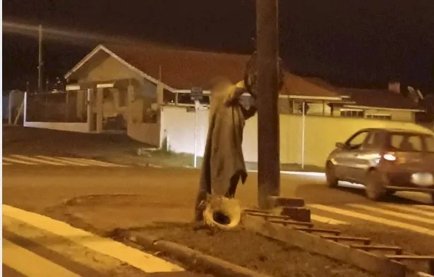 Suspeito é preso ao ser flagrado furtando cabos de internet em Arapoti