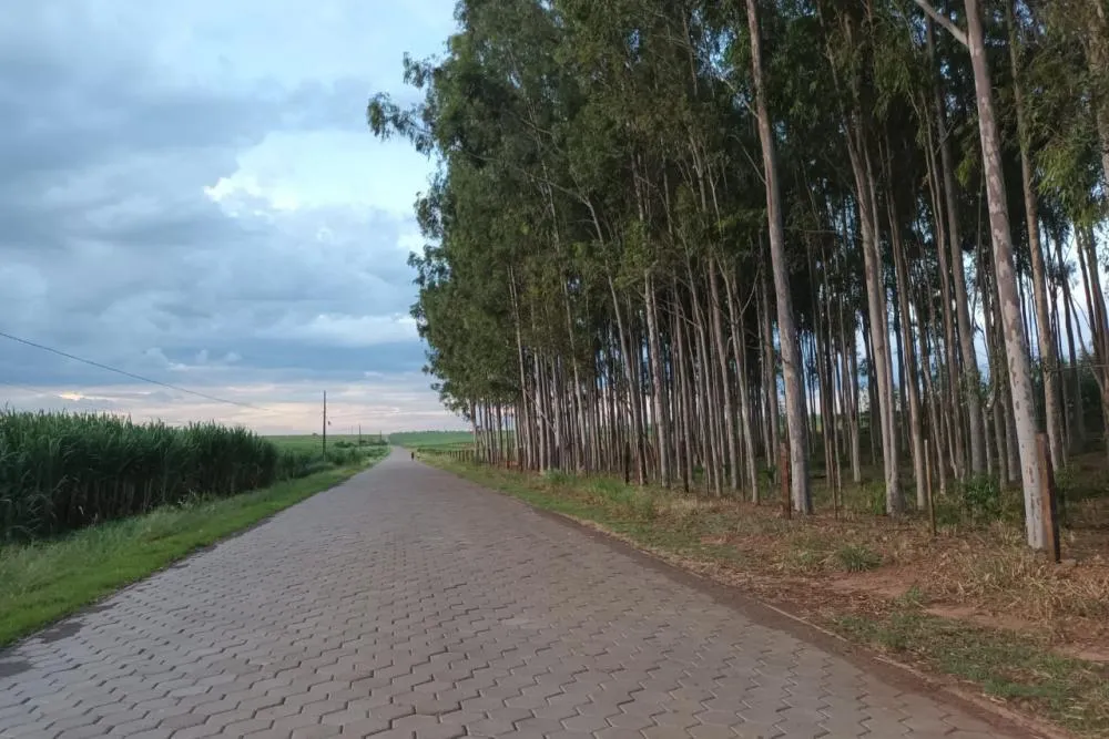 Governo do Paraná investe mais de R$ 125 milhões em estradas rurais