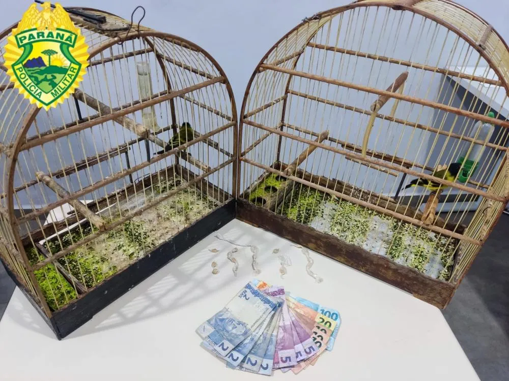 Dois são presos por tráfico de drogas e animais silvestres