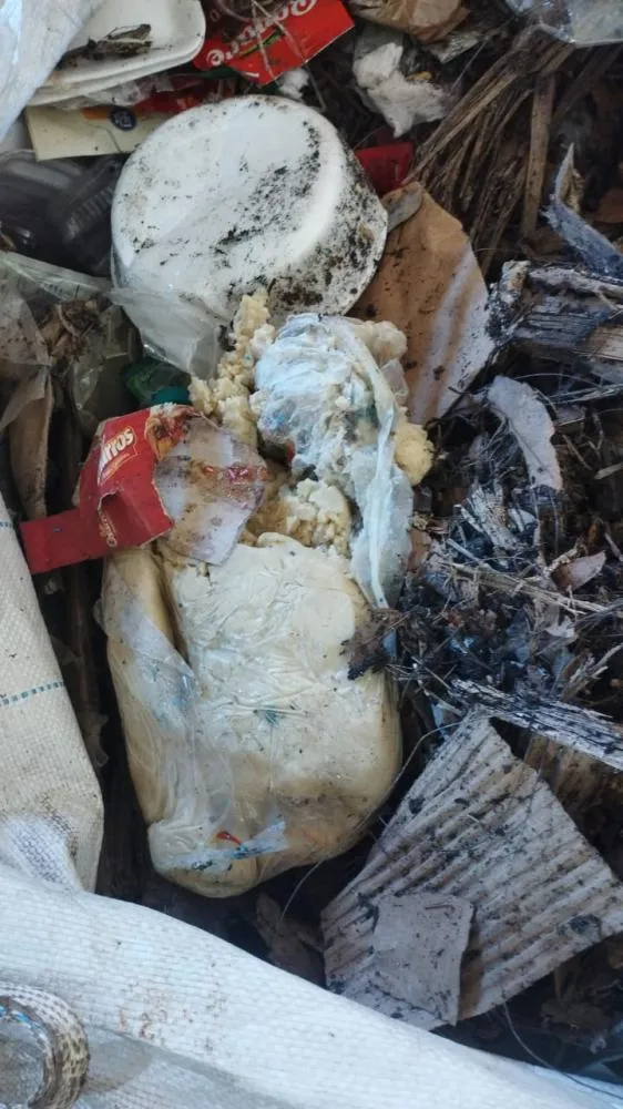 Moradores de Santana do Itararé estão descartando todo tipo de lixo junto a materiais recicláveis