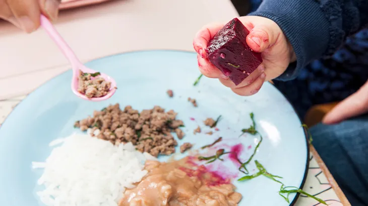 Desafios e estratégias para uma alimentação infantil saudável