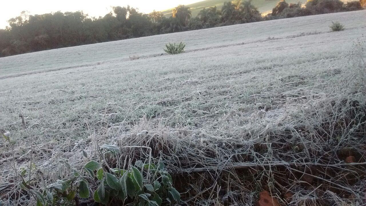 Geada pode atingir quase todo o Paraná nesta sexta