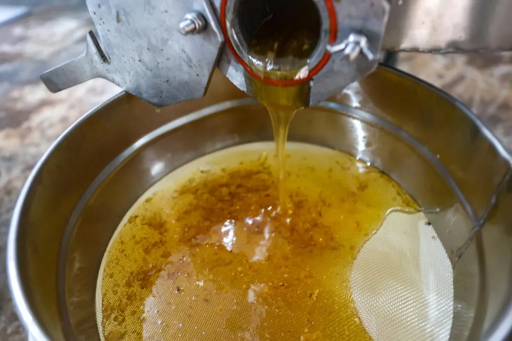 Comércio com 23 países: exportação de mel do Paraná cresce 113% no 1º semestre