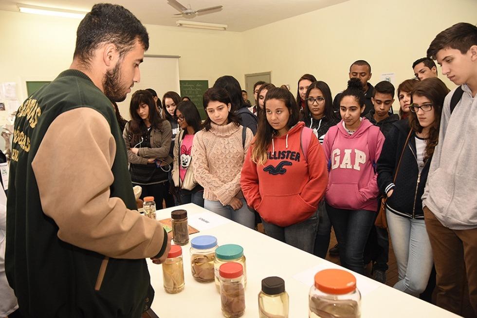 Estudantes do ensino médio visitam UENP para conhecer curso de Ciências Biológicas