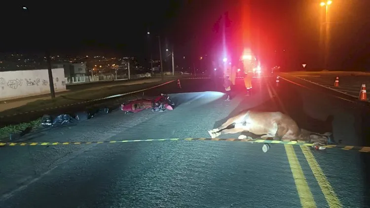 Motociclista atinge cavalo e morre em Jaguariaíva