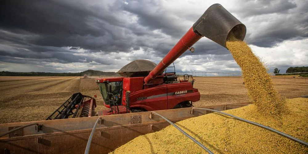 Arapoti têm Valor Bruto da Produção Agropecuária superior a R$ 1 bilhão