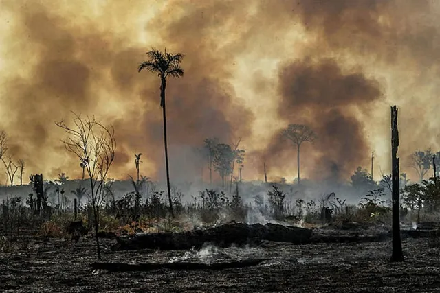 Maior seca da história aumenta focos de incêndio no Brasil
