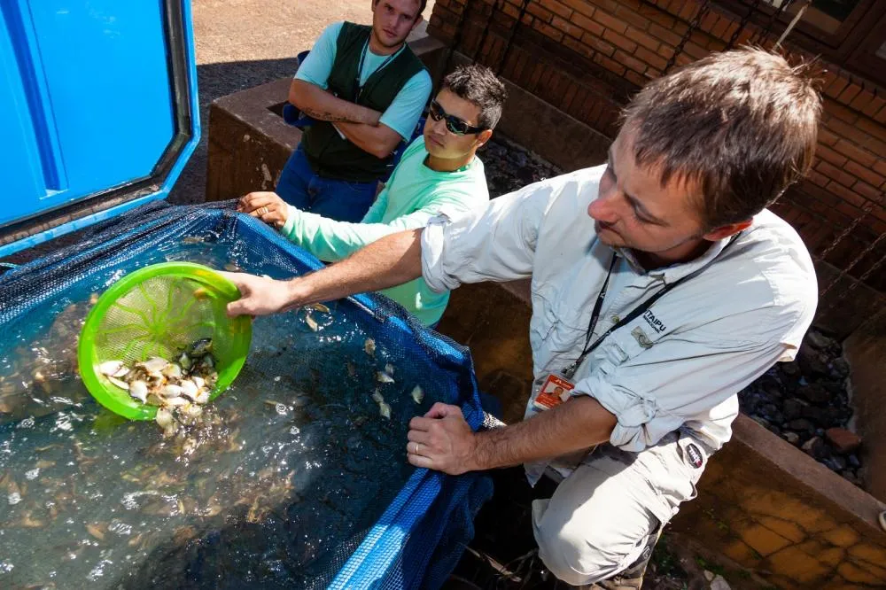 Itaipu leva pesquisas sobre piscicultura e meio ambiente ao International Fish Congress 2024