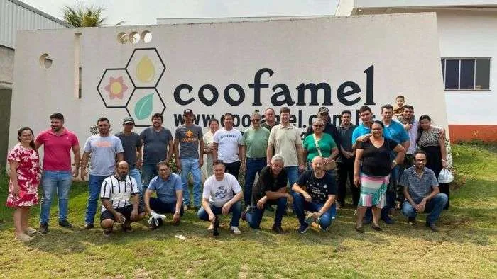 Sebrae e IDR-PR promovem profissionalização da apicultura no Norte Pioneiro