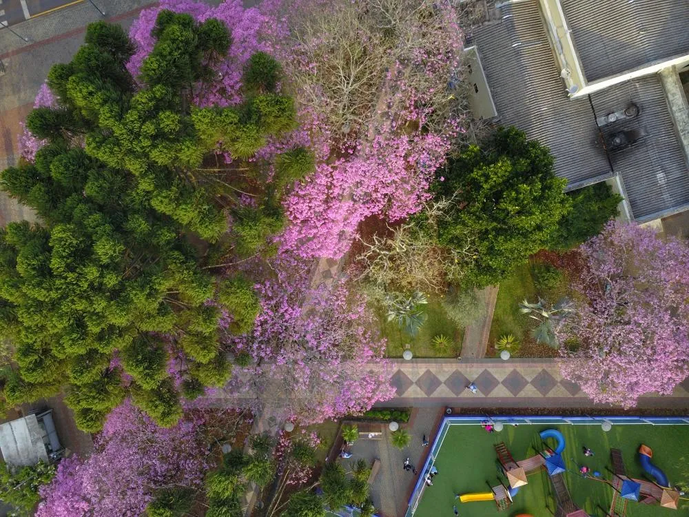 Primavera deve ser quente e com chuva abaixo da média histórica no Paraná