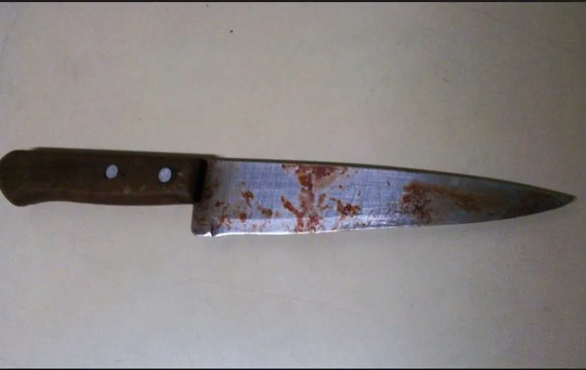 Mulher fica irritada com policiais após levar facada do marido