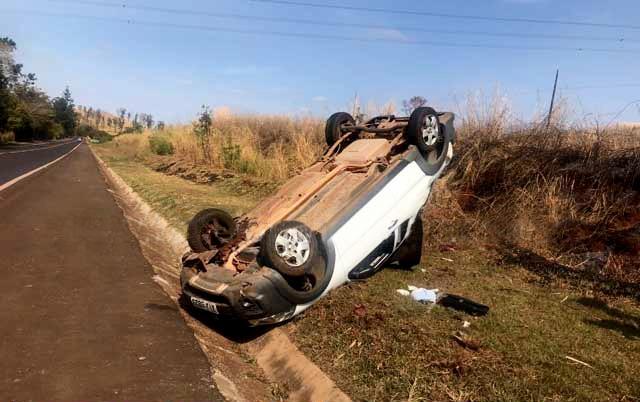 Para não atropelar cachorros, motorista desvia e capota