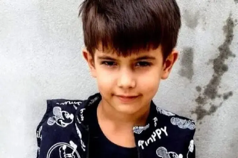 Menino de seis anos morre após ser atacado por abelhas