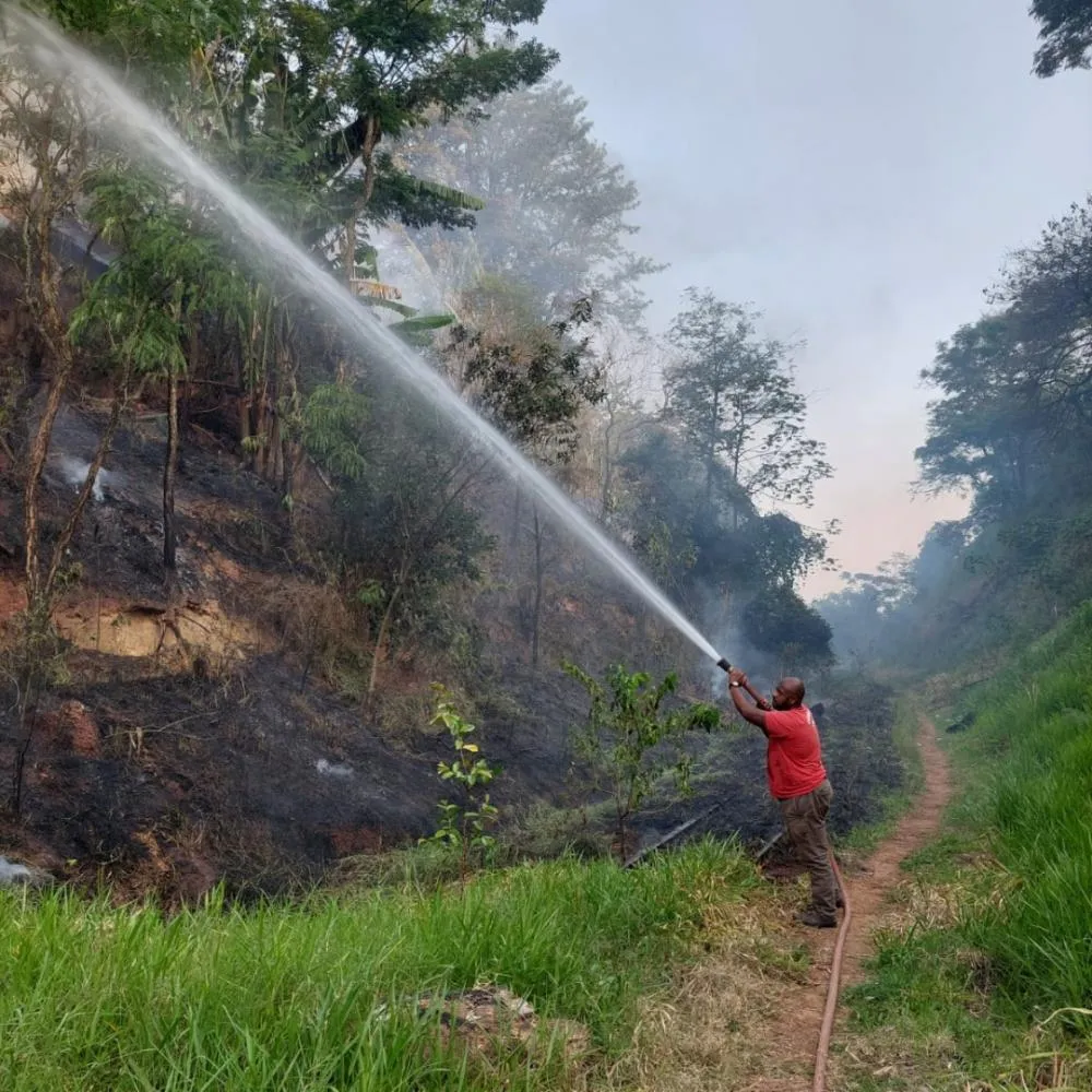 Incêndio ambiental assusta moradores de Wenceslau Braz