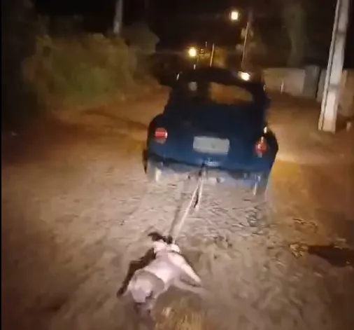 Homem é preso após arrastar cachorro amarrado em um Fusca