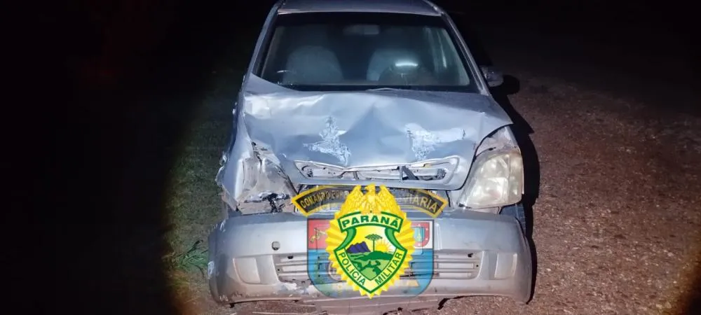 Carro atropela boi solto na rodovia e motorista fica ferido