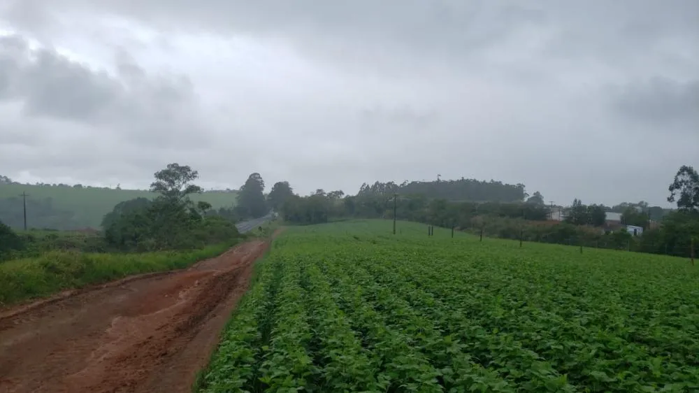 Concessionária do pedágio explica instalação de cercas as margens da rodovia PR-092