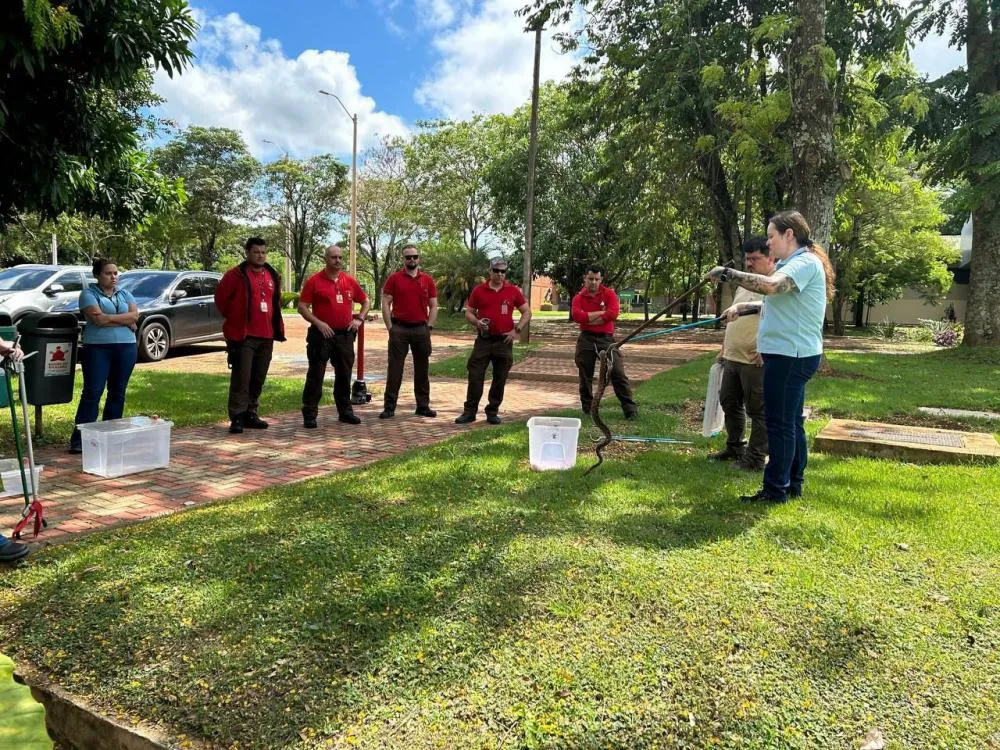 Bombeiros da Itaipu fazem curso de manejo de animais peçonhentos