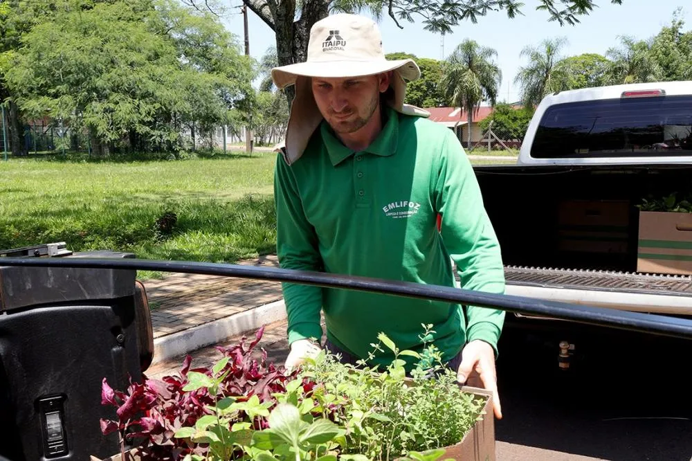 Refúgio Biológico da Itaipu doa mais de mil mudas de plantas medicinais para comunidades indígenas