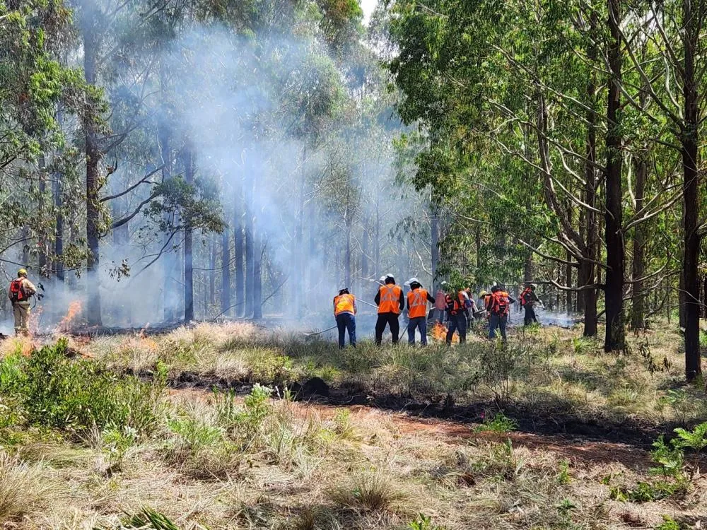 Jaguariaíva recebe investimentos do governo para combate a incêndios florestais
