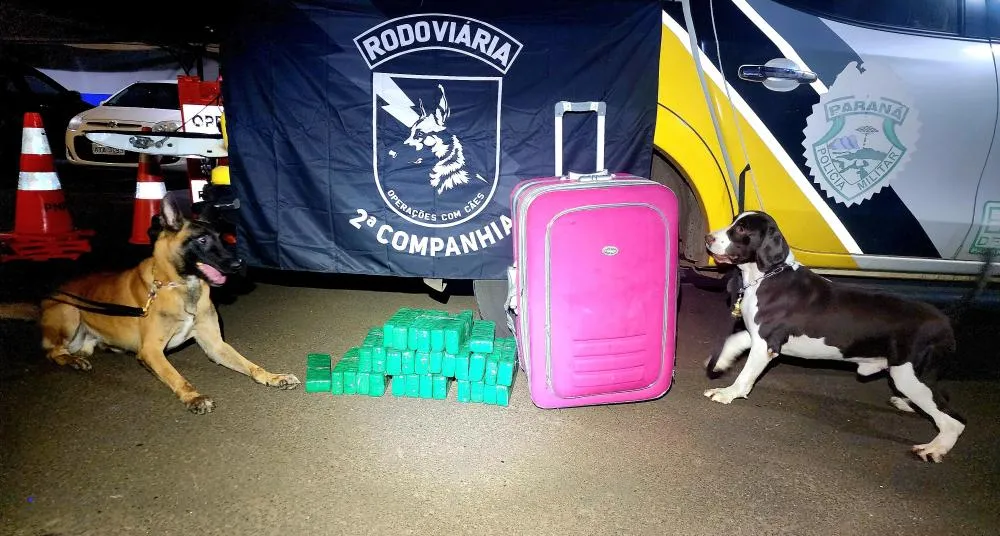 Homem é preso com mais de 20 kg de maconha em ônibus de viagem