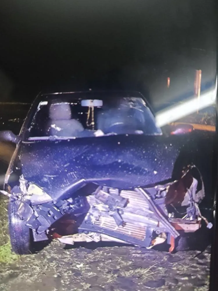 Colisão entre carro e caminhonete deixa adulto e quatro crianças feridas