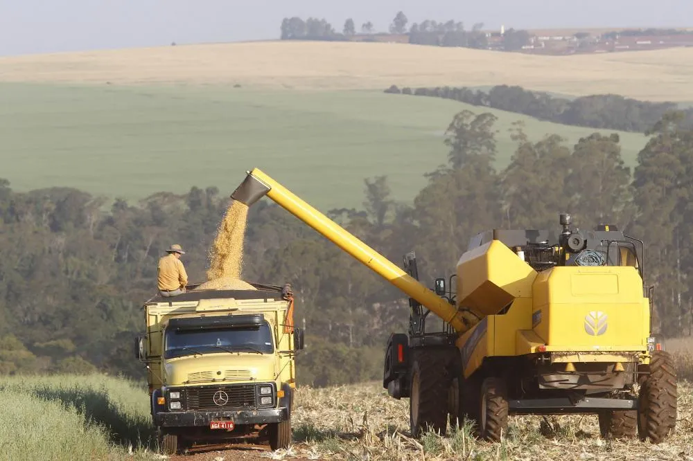Após chuva intensa no Paraná, analista afirma que expectativas para colheitas são boas