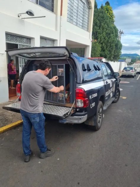 Polícia Civil prende suspeito de furtos em Jacarezinho