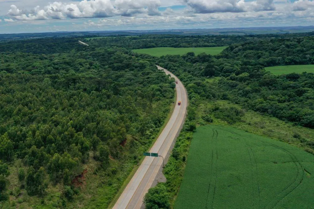 Governo investiu R$ 4 bilhões em grandes obras rodoviárias no Paraná em 2024