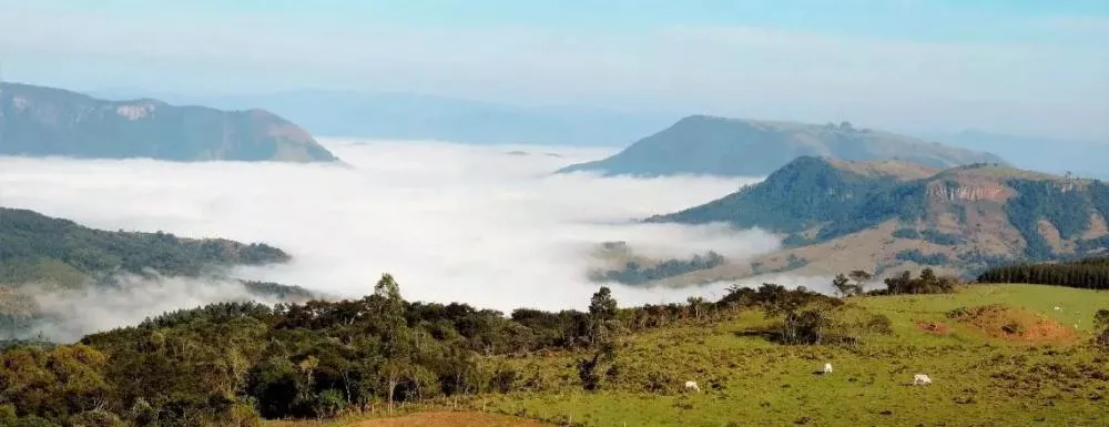 Municípios de Sapopema e Figueira debatem propostas para a 5ª Conferência Nacional de Meio Ambiente