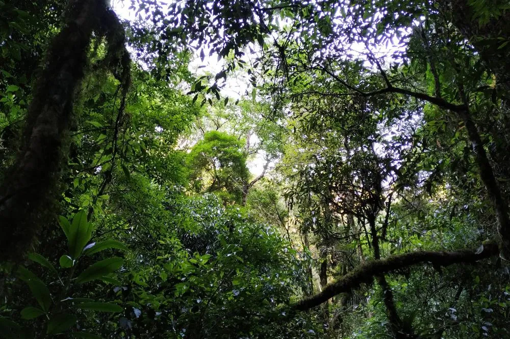 Estado atualiza procedimentos do ICMS Ecológico