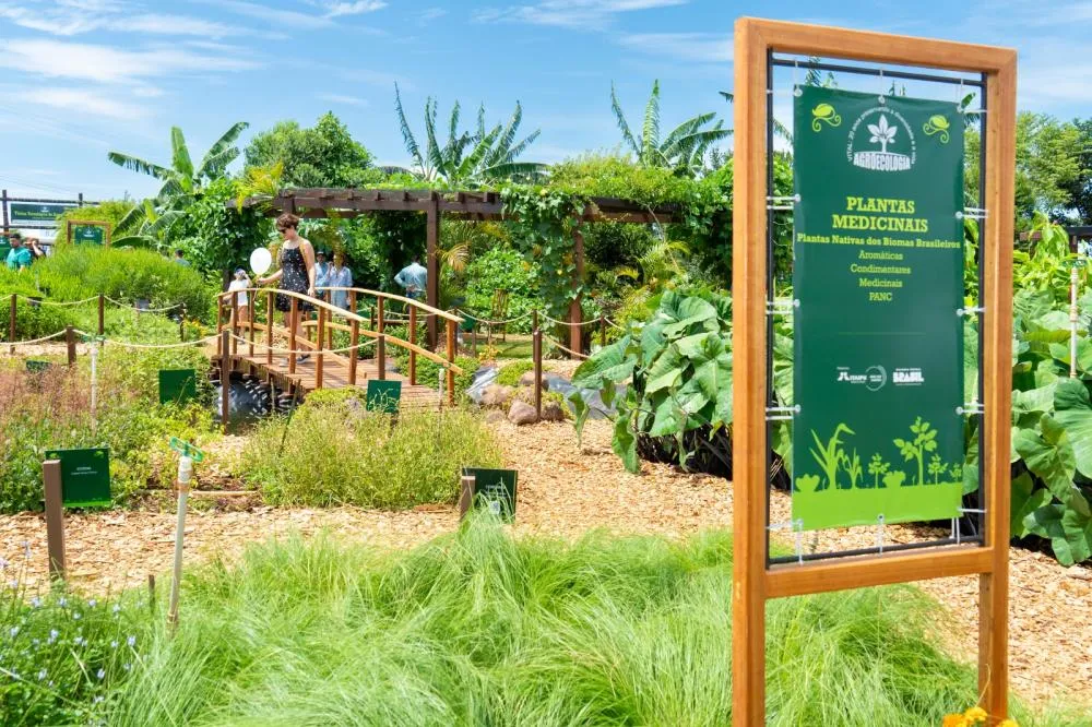 Itaipu vai difundir tecnologia para agricultura agroecológica no Paraná