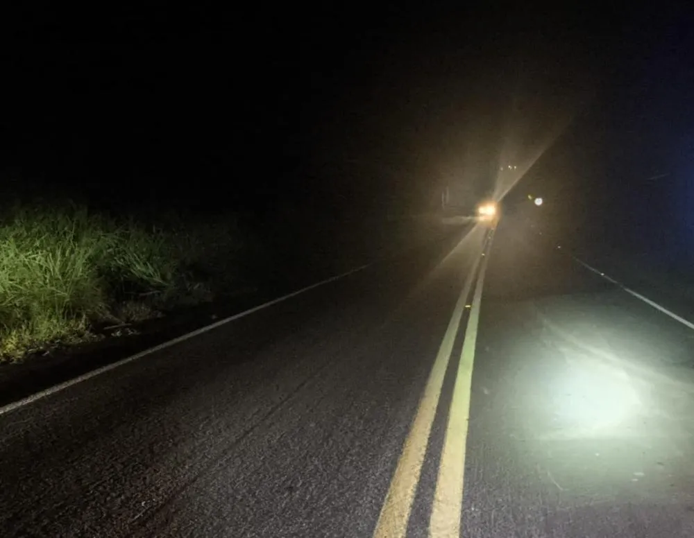 Motociclista sofre acidente ao atingir capivara e fica em estado grave