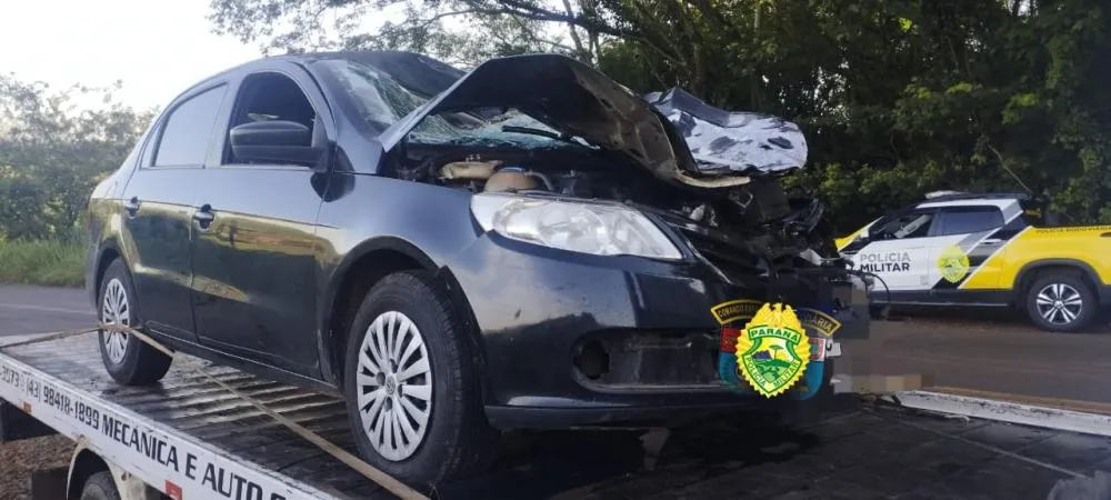 Animal solto na pista causa acidente na PR-092