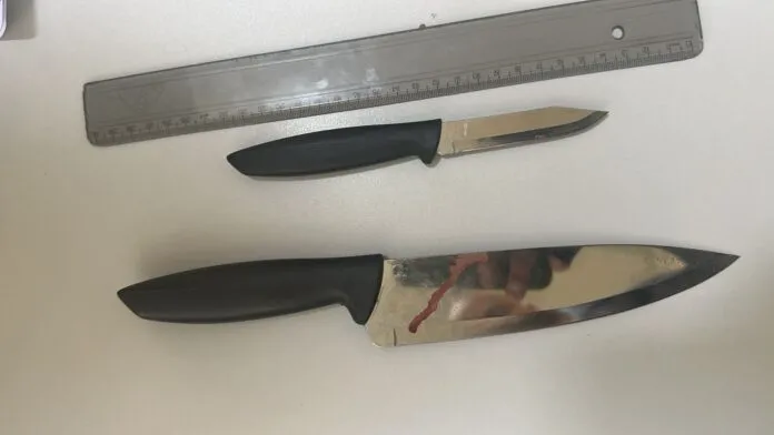 Homem invade casa armado com facas e ameaça matar a ex-esposa e os filhos do casal