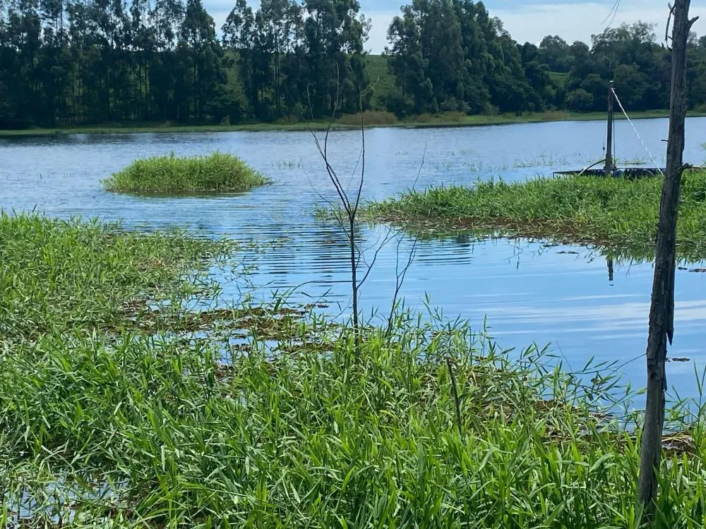 Dois homens morrem afogados após barco afundar em Carlópolis