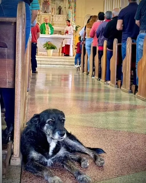 Siqueira Campos se despede de Bigode, o cãozinho religioso que conquistou o coração dos moradores