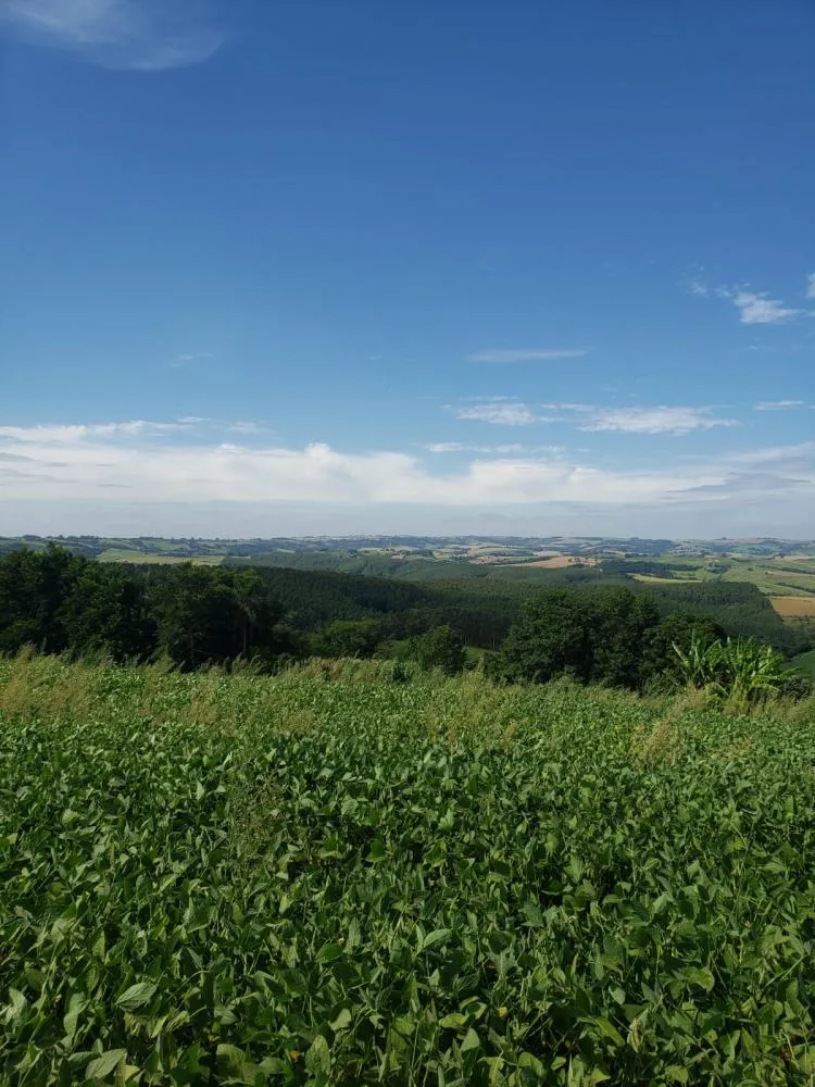 Simepar prevê mês de março com calor e poucas chuvas