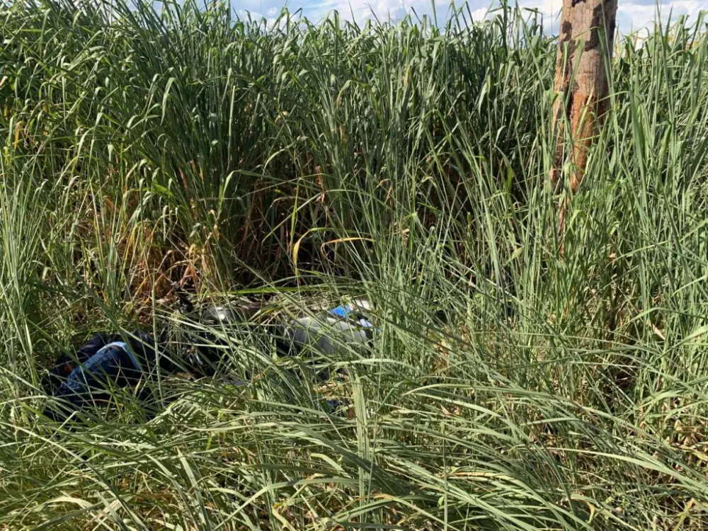 Jovens que estavam desaparecidos são encontrados mortos na PR-092