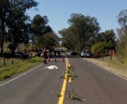 Mulher morre atropelada por ônibus e motorista foge