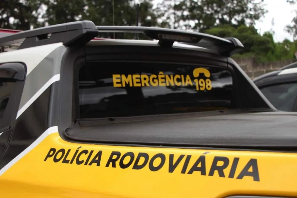 Motociclista morre após ser atingido por pássaro e cair em rodovia da região