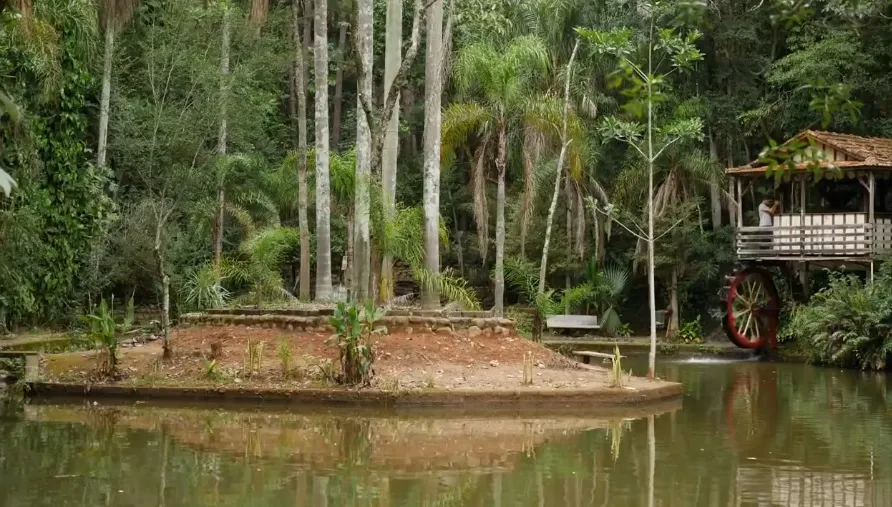 Jaboti projeta parque ecológico em área histórica de preservação ambiental